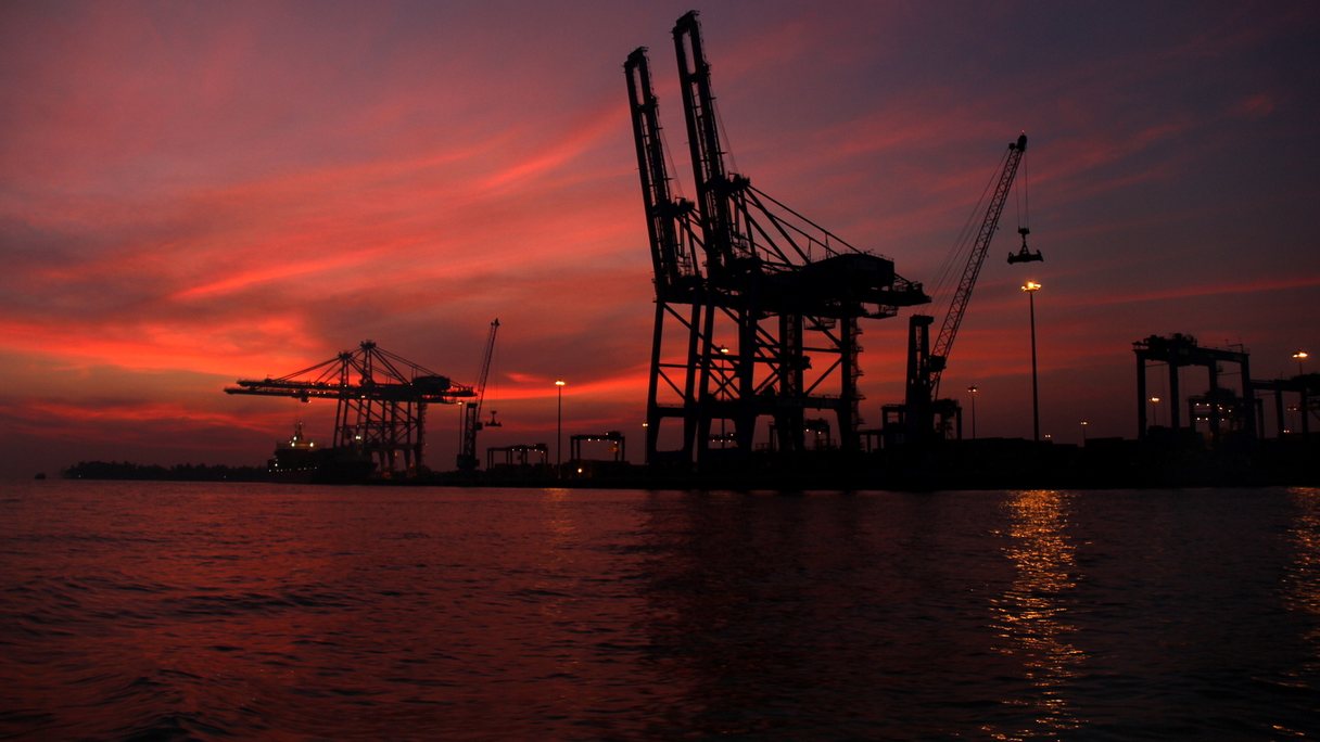 Dutch Agricultural Exports in 2025 – How the Netherlands Is Leading Global Trade