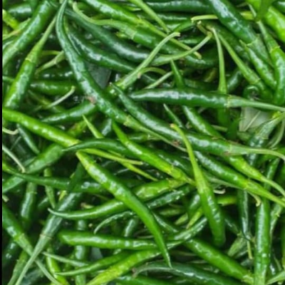resources of Crunchy Millets Makhani exporters