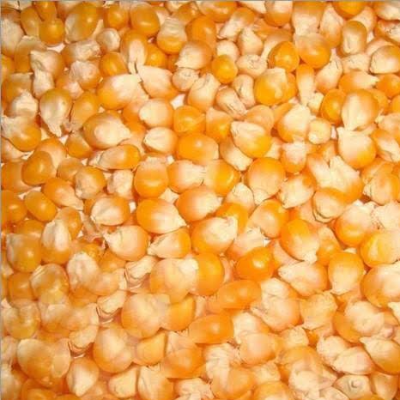 resources of Lco exporters