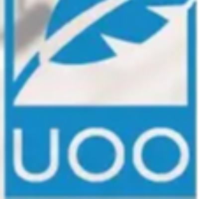 UOO INDUSTRY LLC