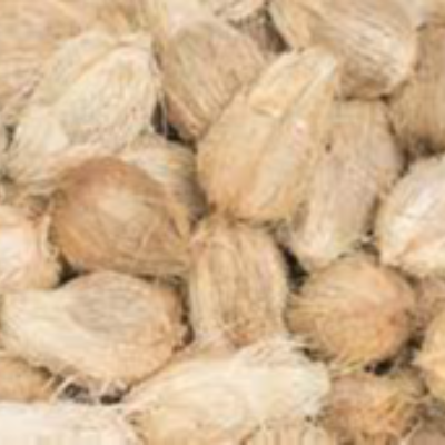 resources of Coconut Broom Stick exporters