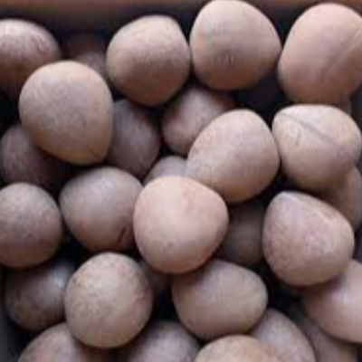 resources of Coconut Broom Stick exporters