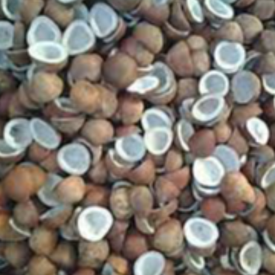 resources of Coconut Handmade Soap For Skincare exporters