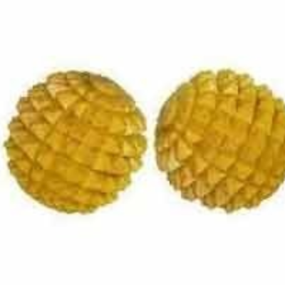 resources of Dried Jackfruit exporters