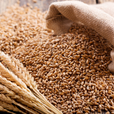 resources of Wholesale Japanese Straw Pot/ Strawtablemat exporters
