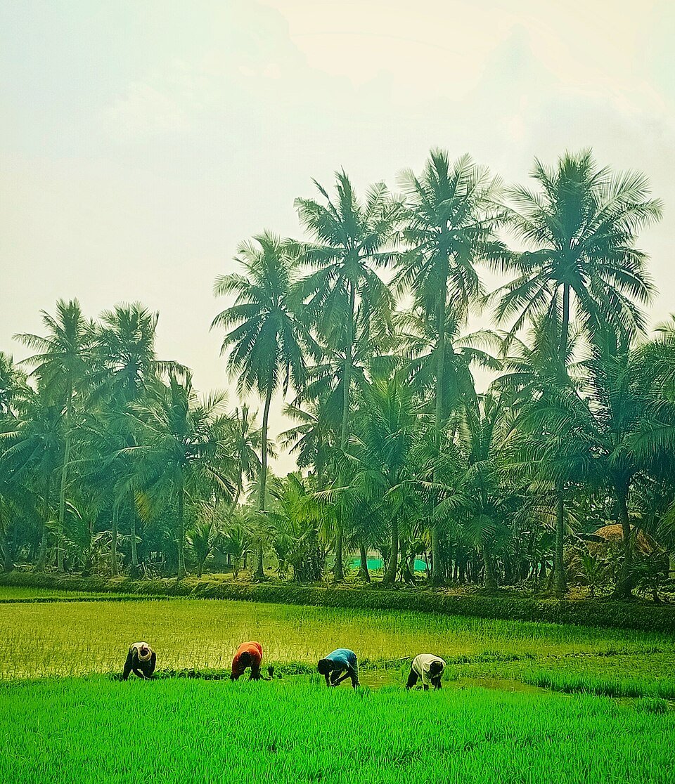 resources of Agriculture product exporters resources of Agriculture product exporters