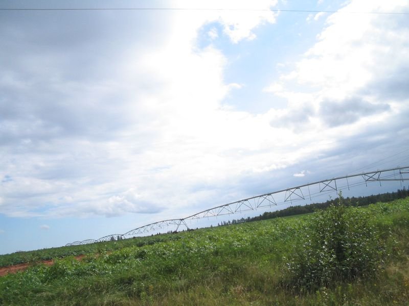 resources of Universal Agro SRL exporters