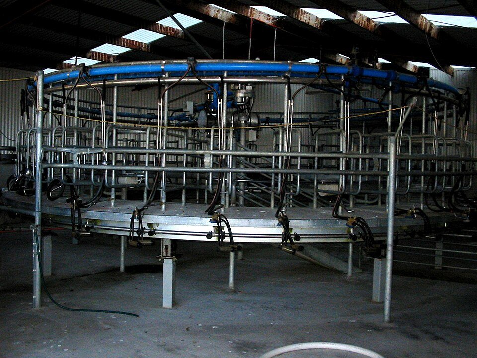 resources of Sheep and goat milking machine exporters