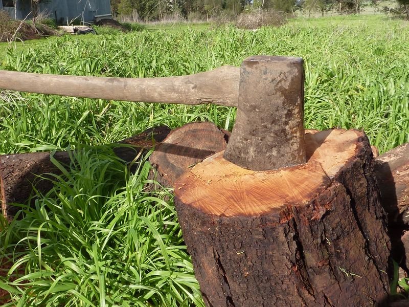 resources of Log grapple exporters