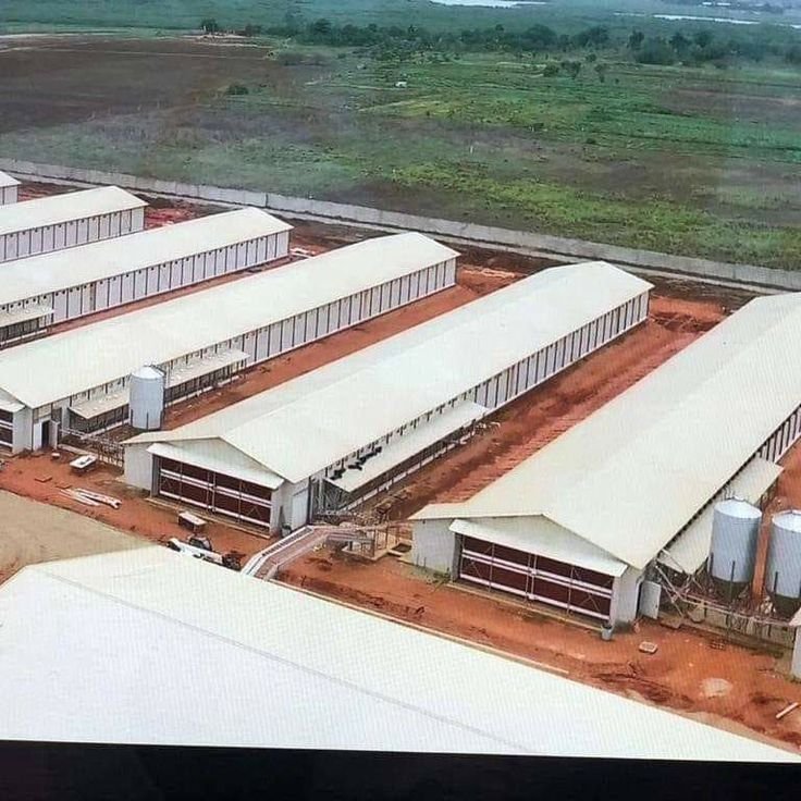 resources of Broiler Poultry Farm House Design Battery Cage exporters