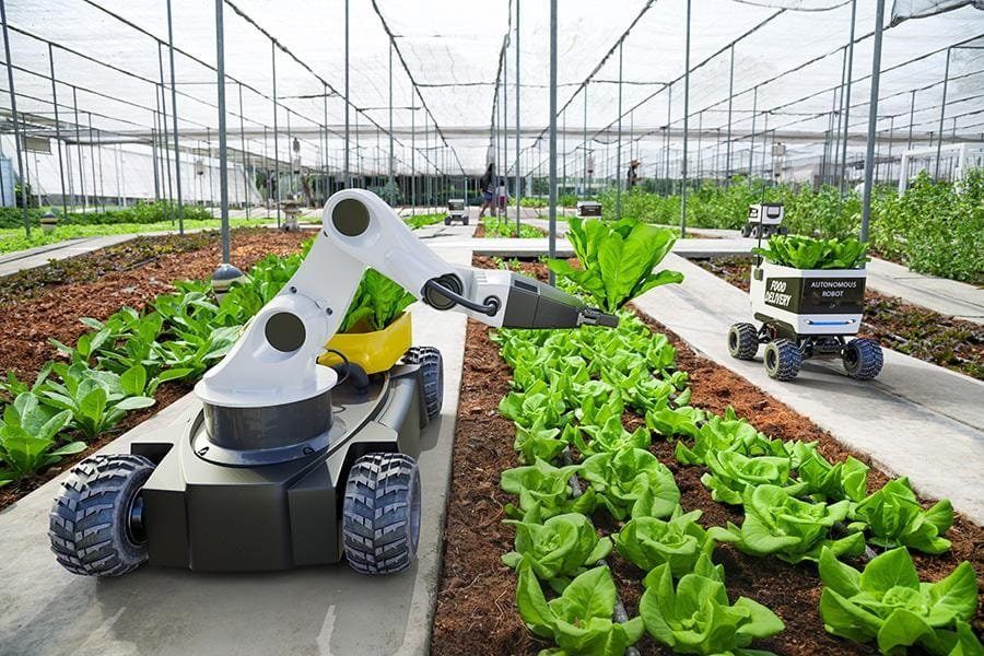 resources of Agriculture Machine Uses Gravity Table exporters