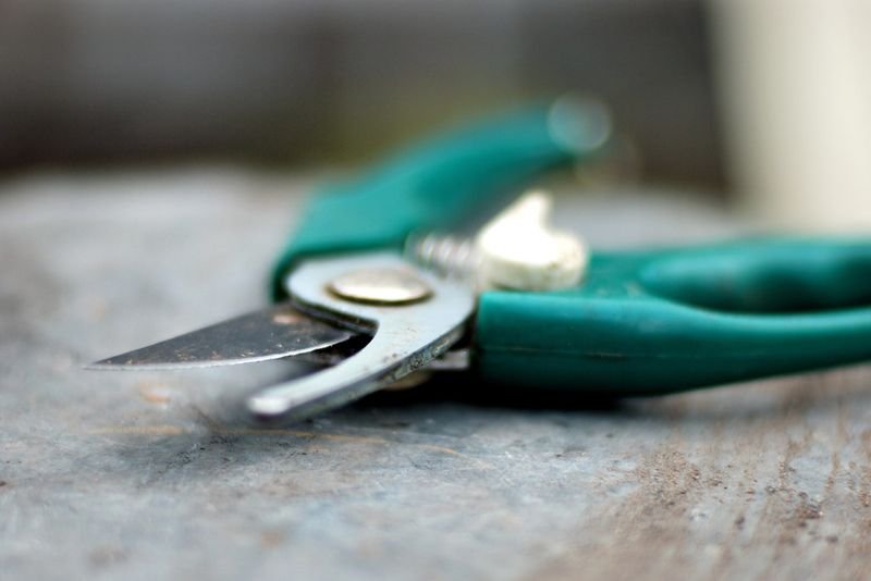 resources of Long Nose Pliers exporters