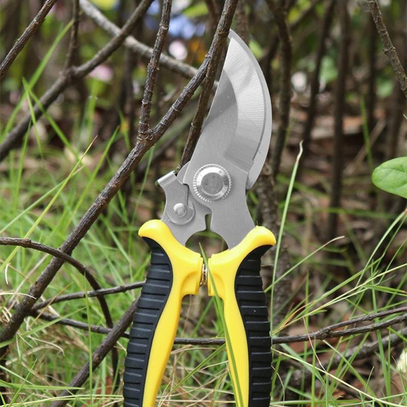 resources of Professional Garden Hand Pruner - 3169-1 exporters