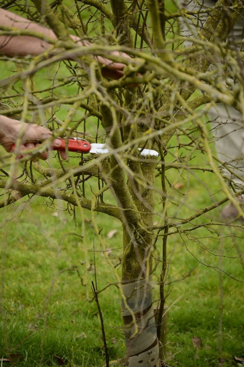 resources of Spring tester exporters