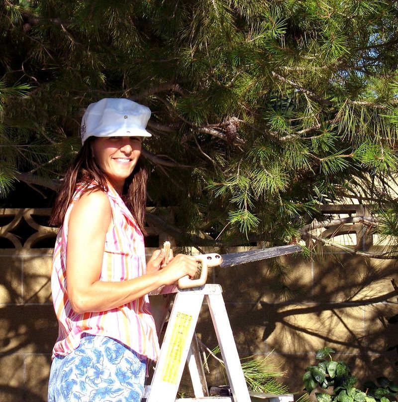 resources of Painting exporters