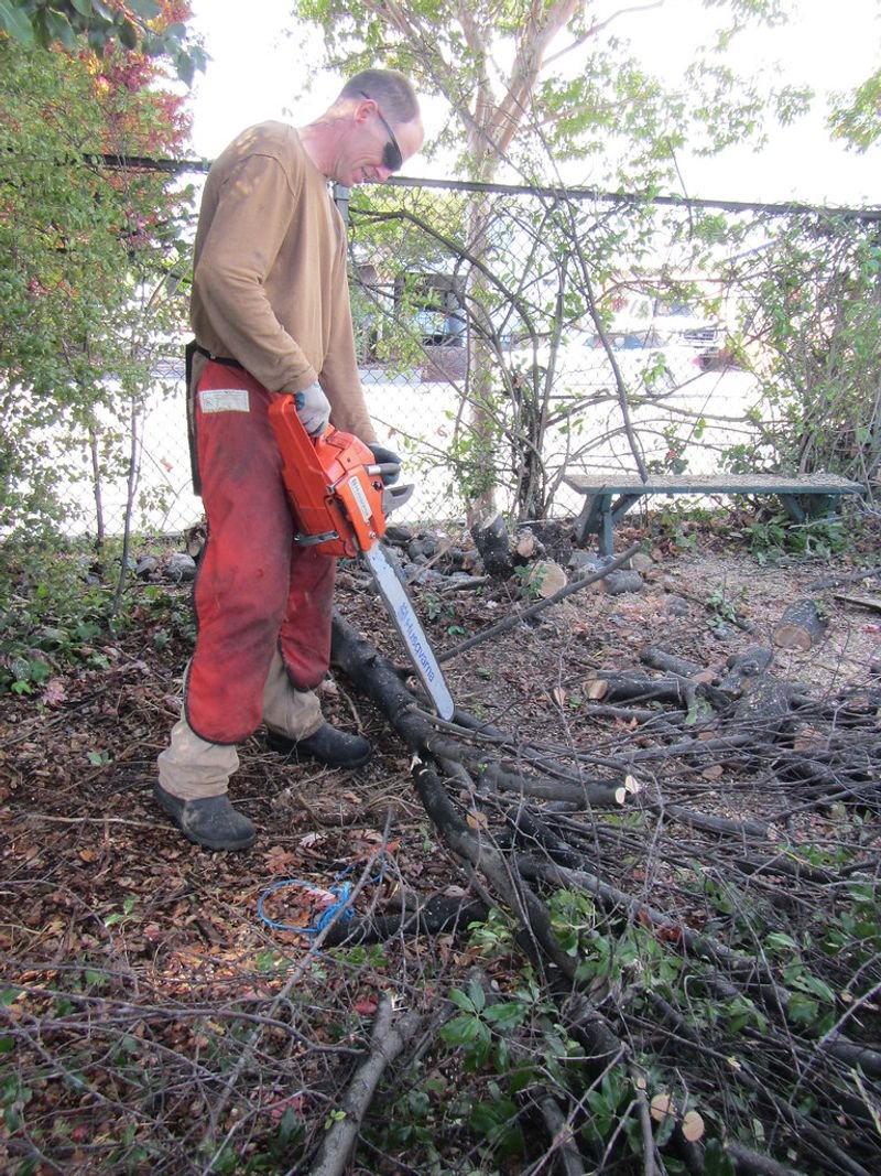 resources of Mori SHT-240 short hedge trimmer exporters