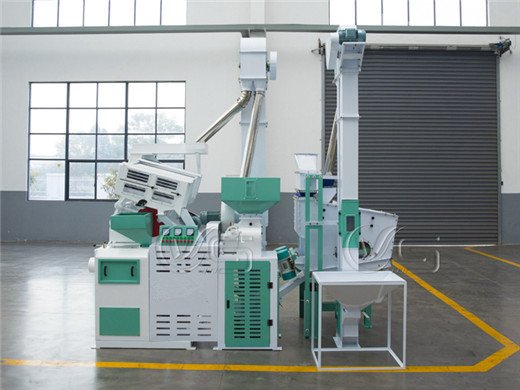 resources of 10 Ton Per Hour Rice Milling Solution exporters