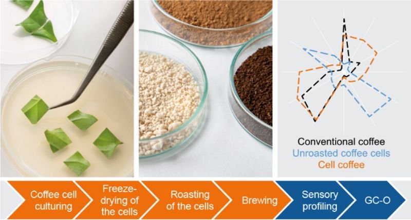 resources of Flavours for food processing exporters