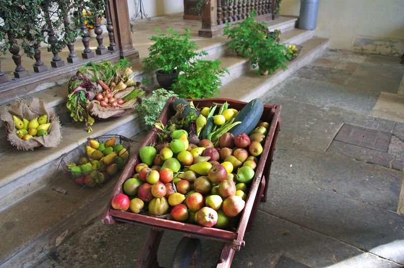 resources of Double wheels wheelbarrow WH8802, Garden cart exporters