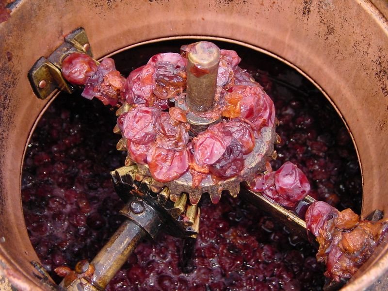 resources of Agate Rose tree exporters