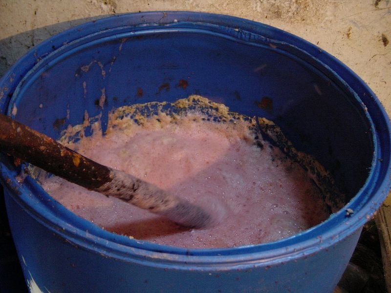 resources of Bat Guano ( Processing) exporters