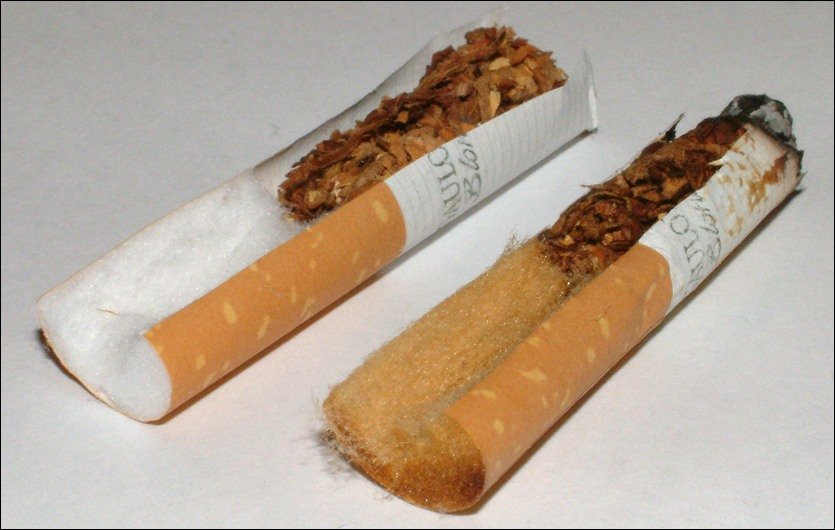 resources of Cinamon Stick exporters