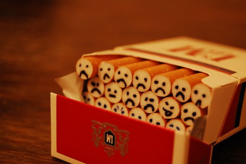resources of Rolling Papers exporters