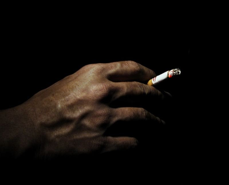resources of Nicotine exporters