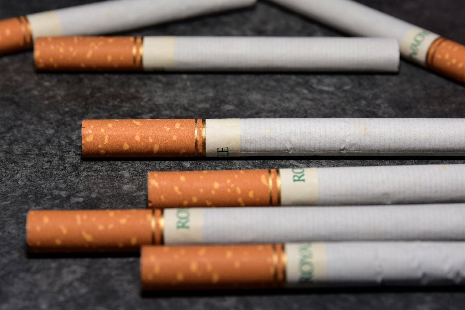 resources of Cigarette Cassia exporters