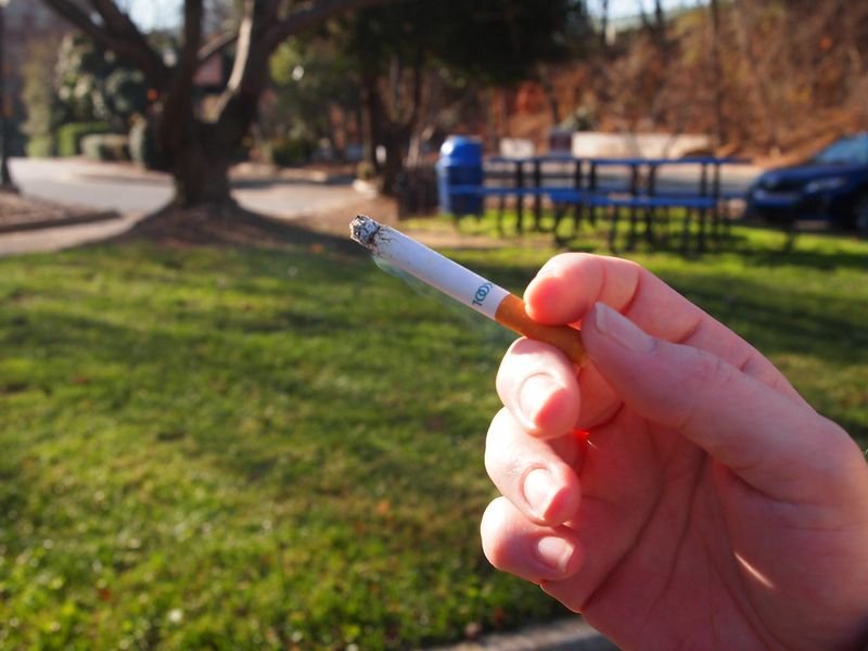 resources of 2025 New Model Disposable Vape exporters