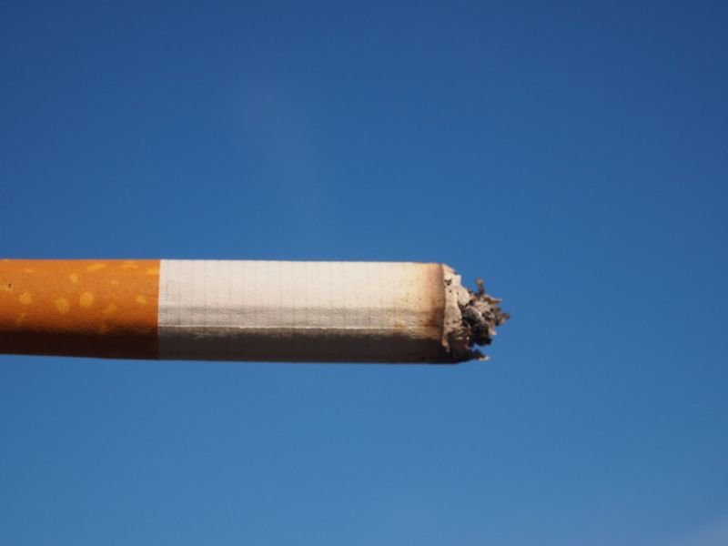 resources of Cignotan RL exporters