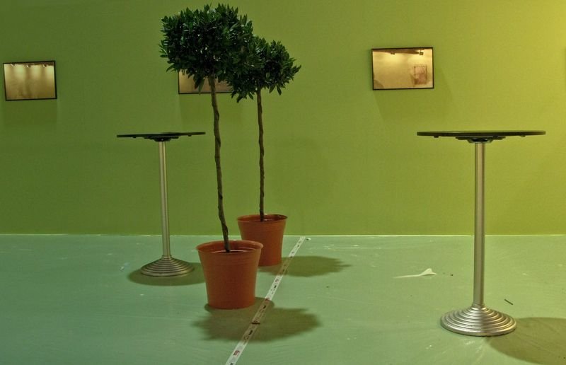 resources of Artificial Ornamental Plants exporters