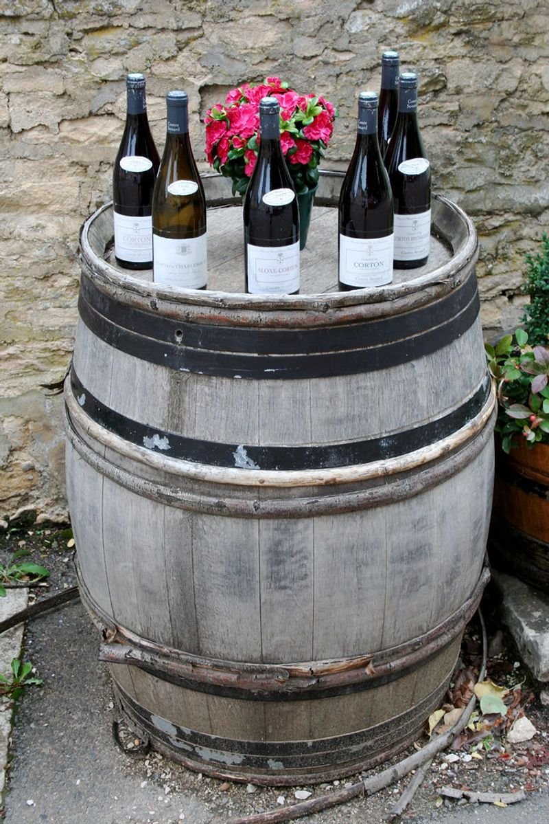 resources of Chinon exporters resources of Chinon exporters
