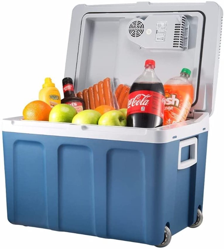 resources of Portable car refrigerator DC 12/24V exporters