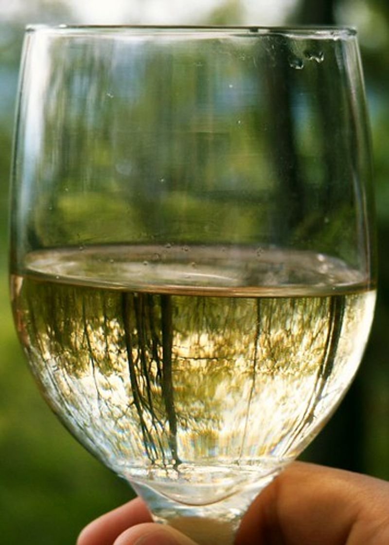 resources of Wine Glass exporters