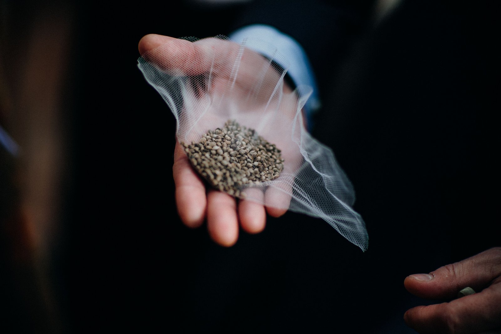 resources of Flixweed Seeds (conventional) exporters