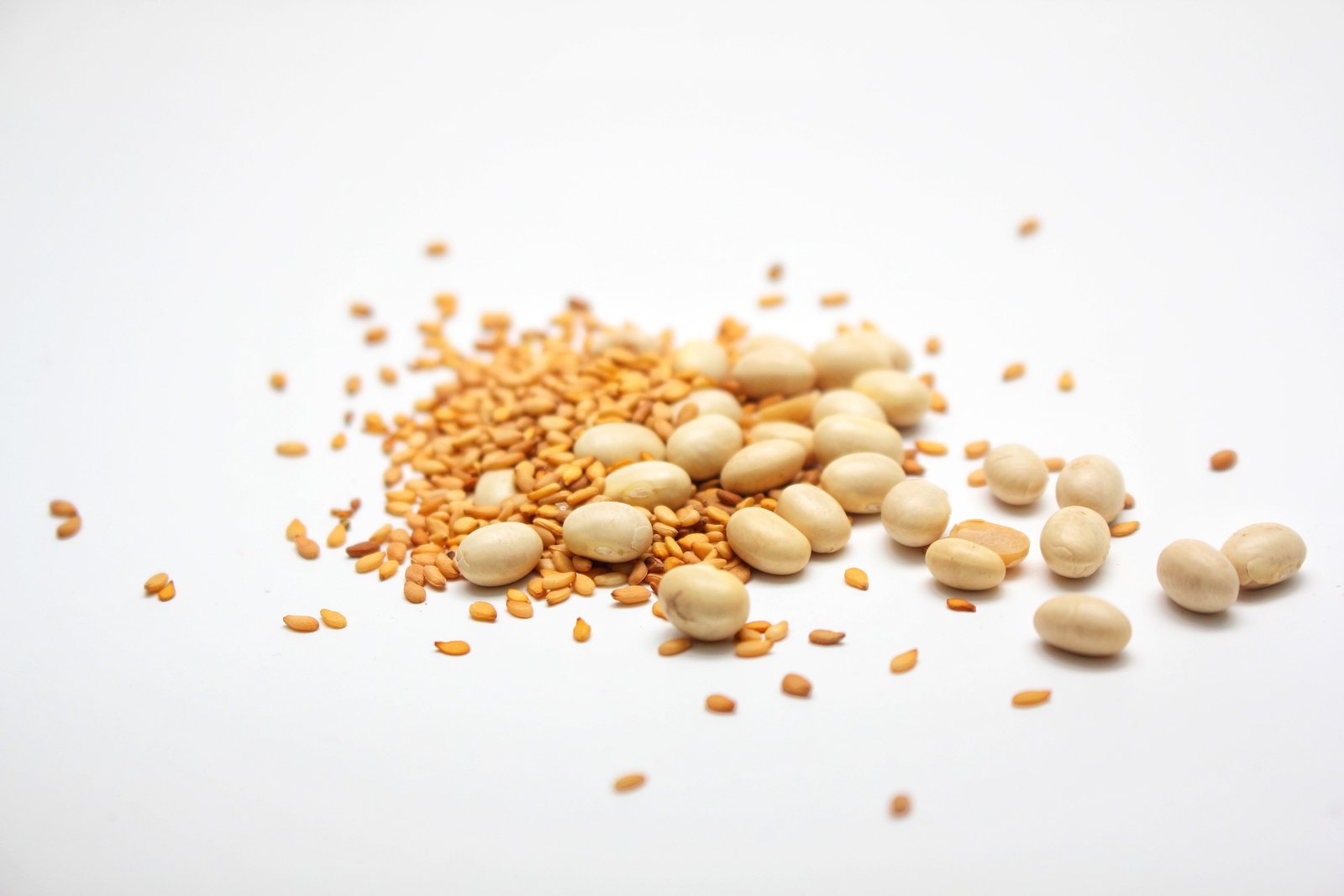 resources of Textured vitamin protein chunks and granules exporters