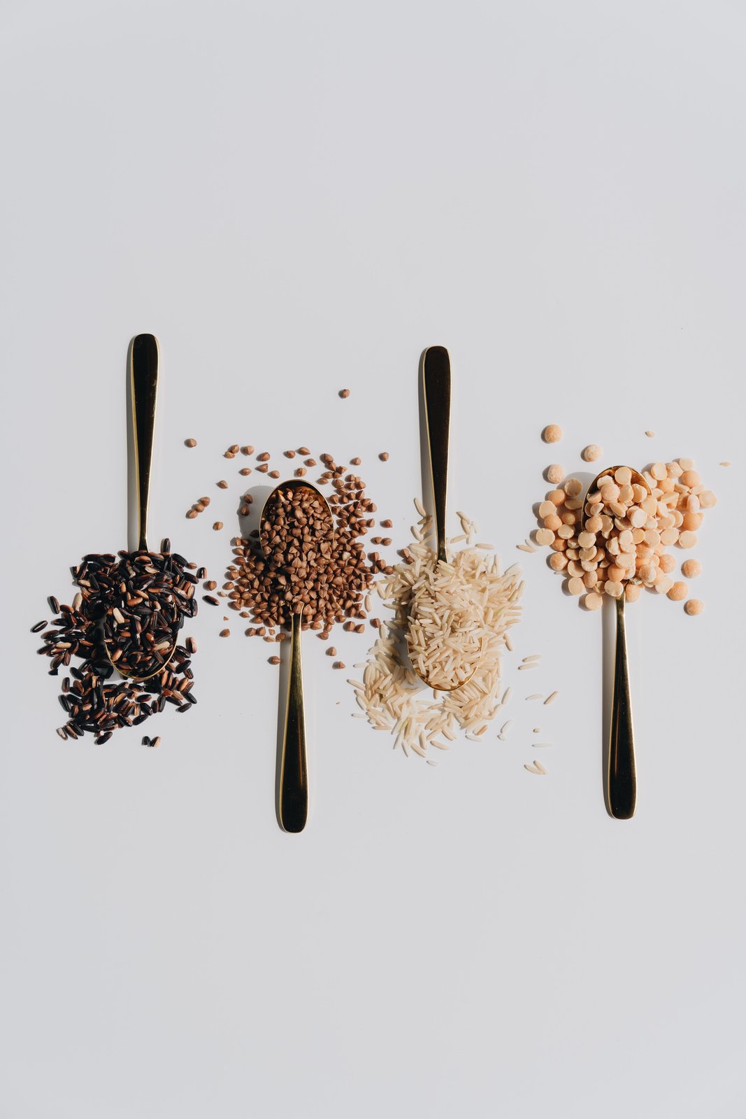 resources of Seeds exporters