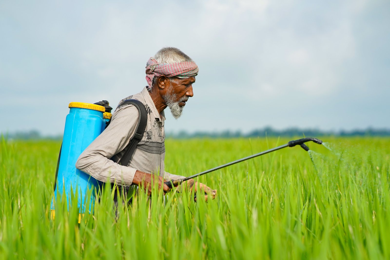 resources of Rice Stubble Decomposer exporters