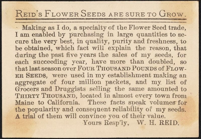 resources of 100% Ground Melon Seeds (Egusi) exporters