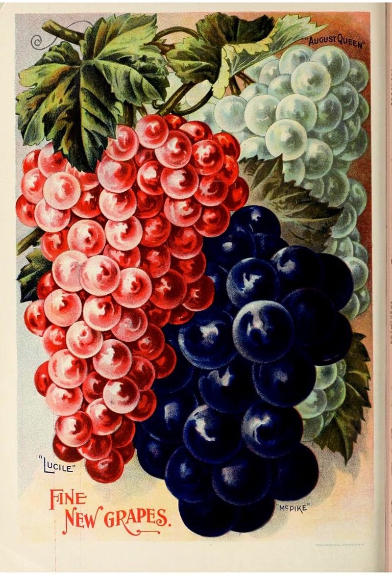 resources of WALL ART  W-112 exporters