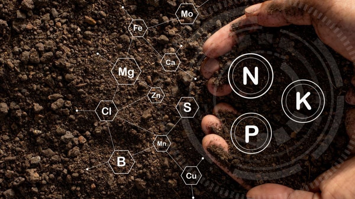 resources of NPKs exporters resources of NPKs exporters