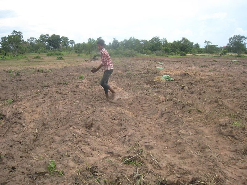 resources of Organic Composted Fertilizer Pellets exporters