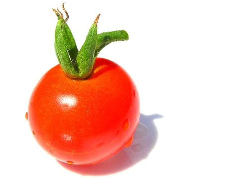 resources of Tomato exporters
