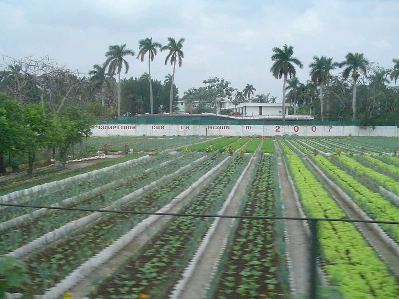 resources of Paclobutrazol  25% Sc 15% Wp exporters