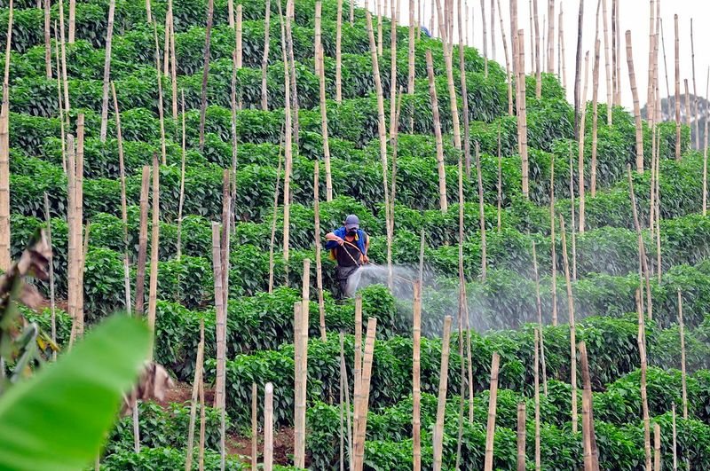 resources of Pesticides exporters