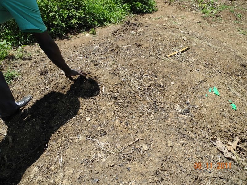 resources of 5 Kg Coco Peat Block exporters