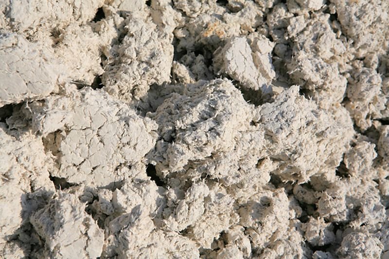 resources of Fulvic Acid-type F exporters resources of Fulvic Acid-type F exporters
