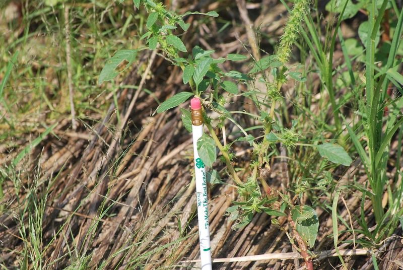 resources of QT-SM01 Soil Moisture Meter exporters