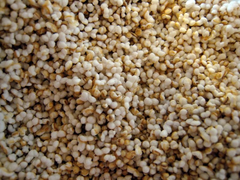 resources of Jamin Seed exporters